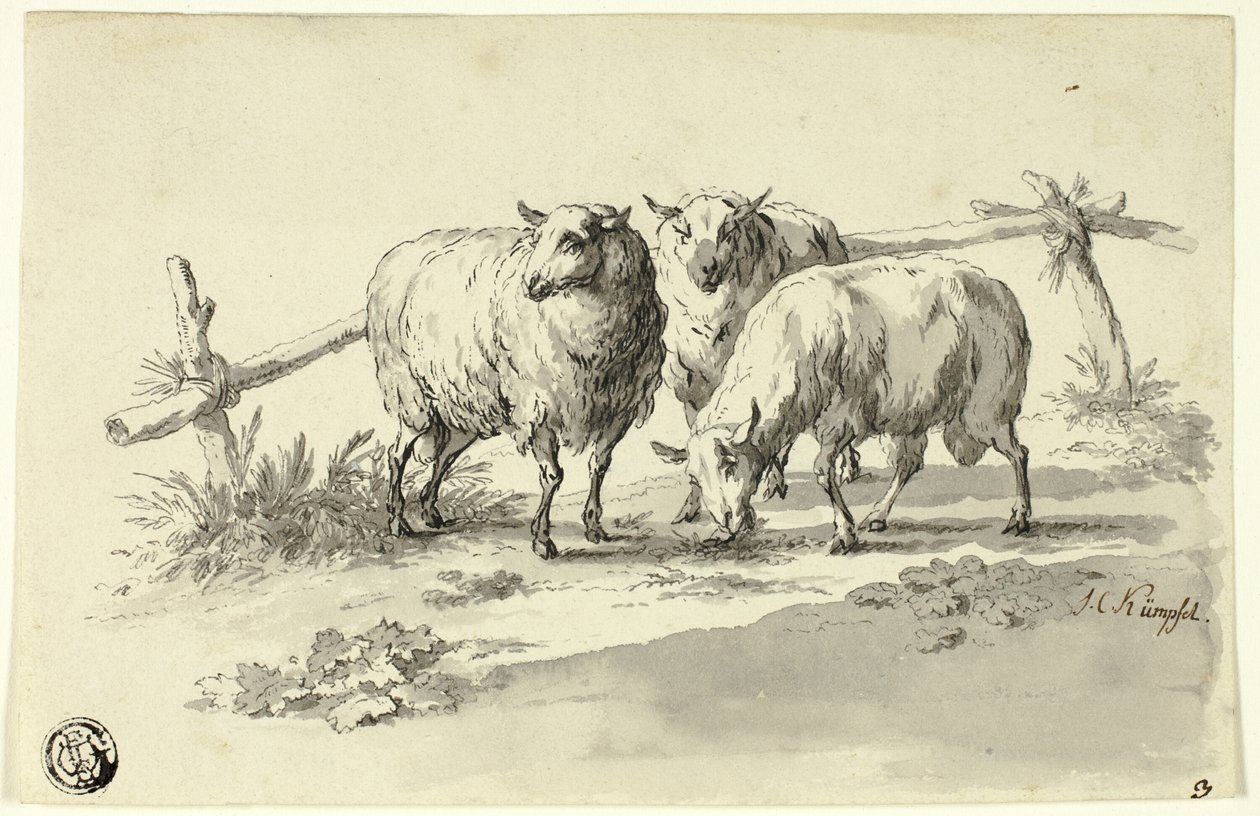 Koyun by Johann Christoph Kimpfel