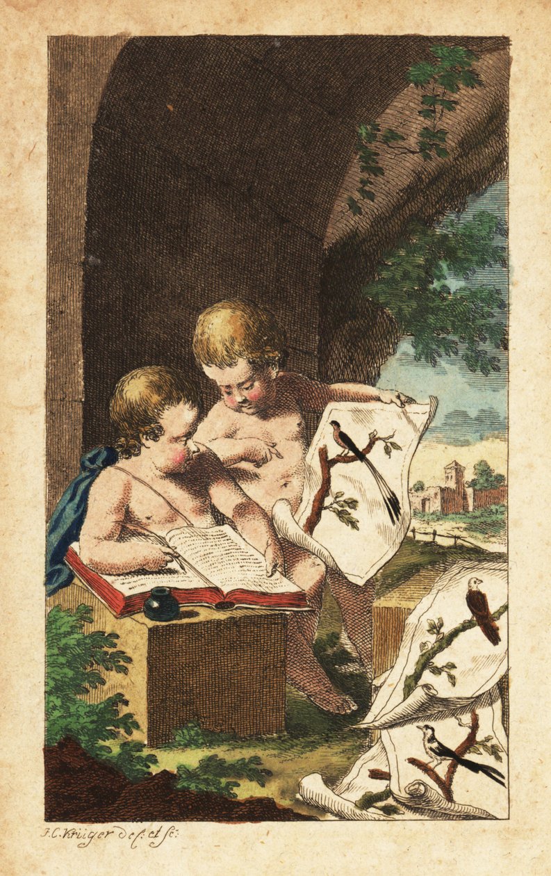 Kuş izlerini inceleyen iki genç kuş bilimci by Johann Conrad Kruger