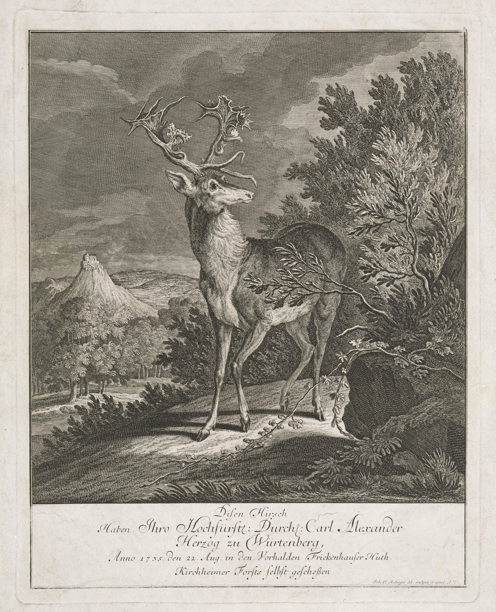Manzarada Muhteşem Bir Geyik by Johann Elias Ridinger