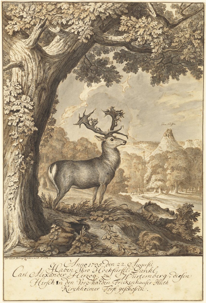 Mighty Oak Altında Bir Geyik by Johann Elias Ridinger