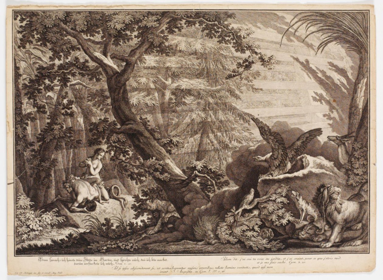 Adem ve Havva çıplak olduklarını keşfettiler by Johann Elias Ridinger