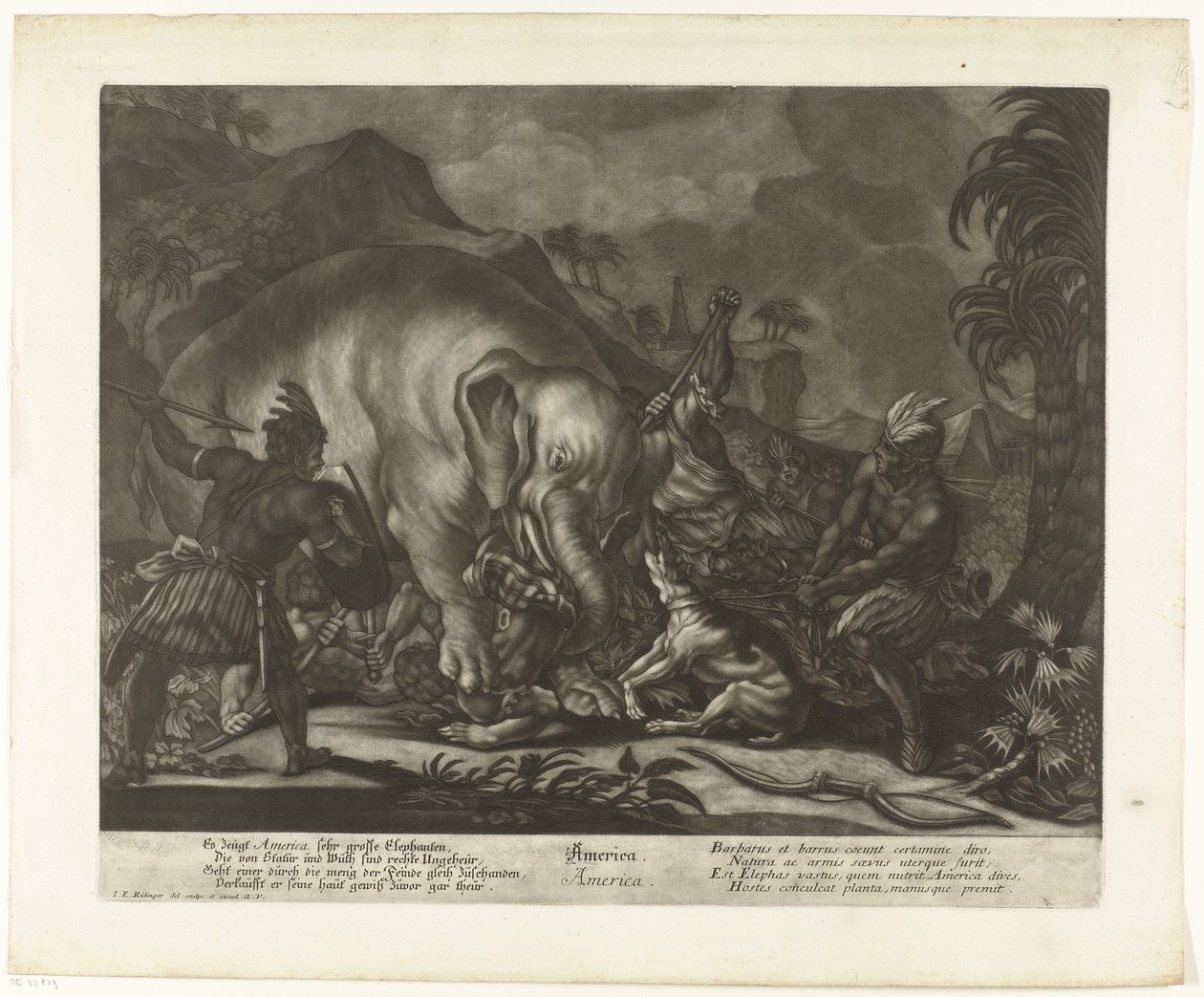 fil avı Amerika (nesne üzerindeki başlık) by Johann Elias Ridinger
