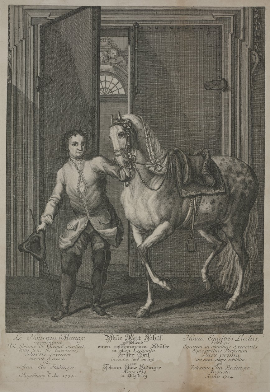 Yeni Binicilik Okulu by Johann Elias Ridinger
