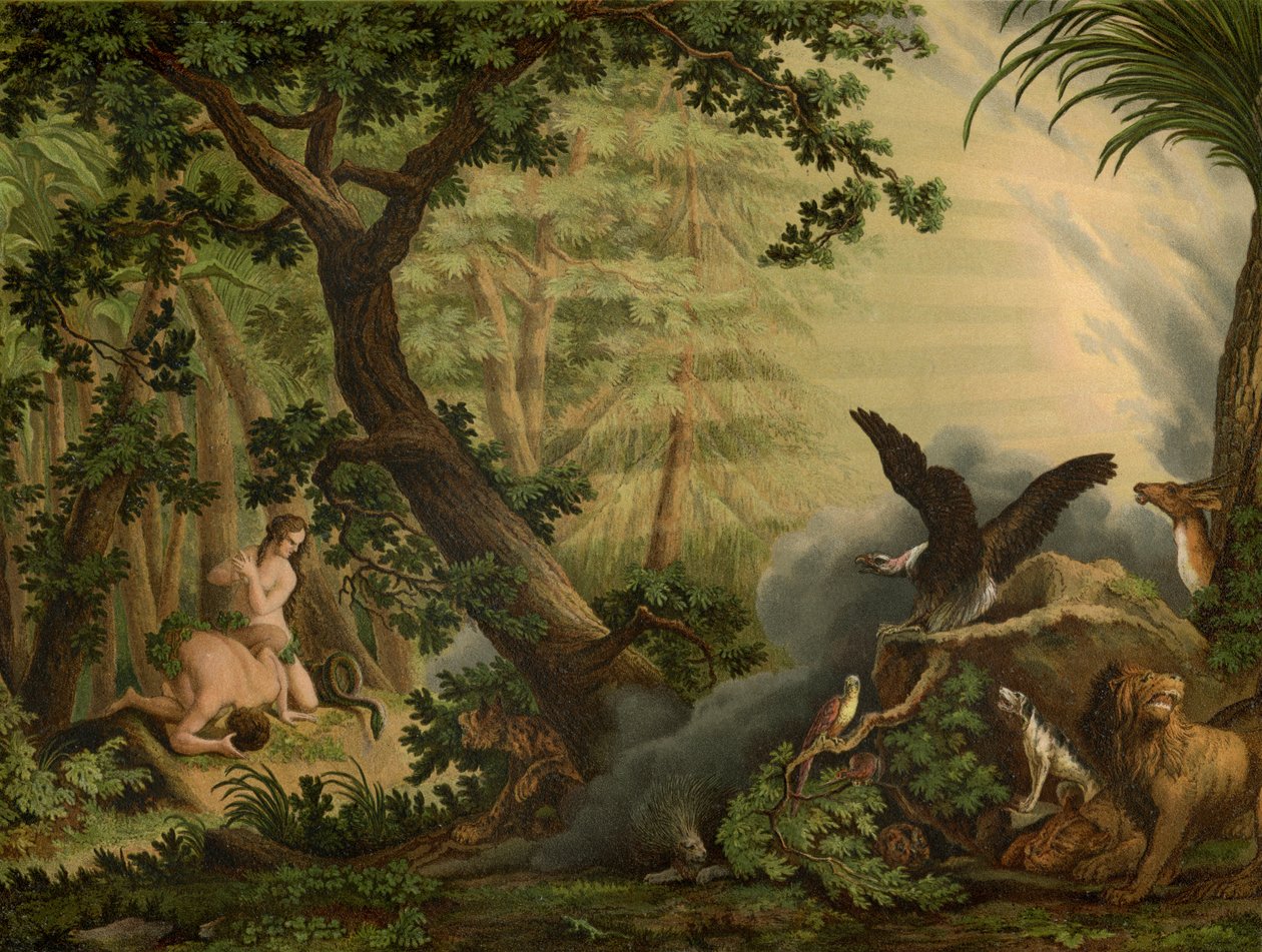 Düşüş by Johann Elias Ridinger or Riedinger