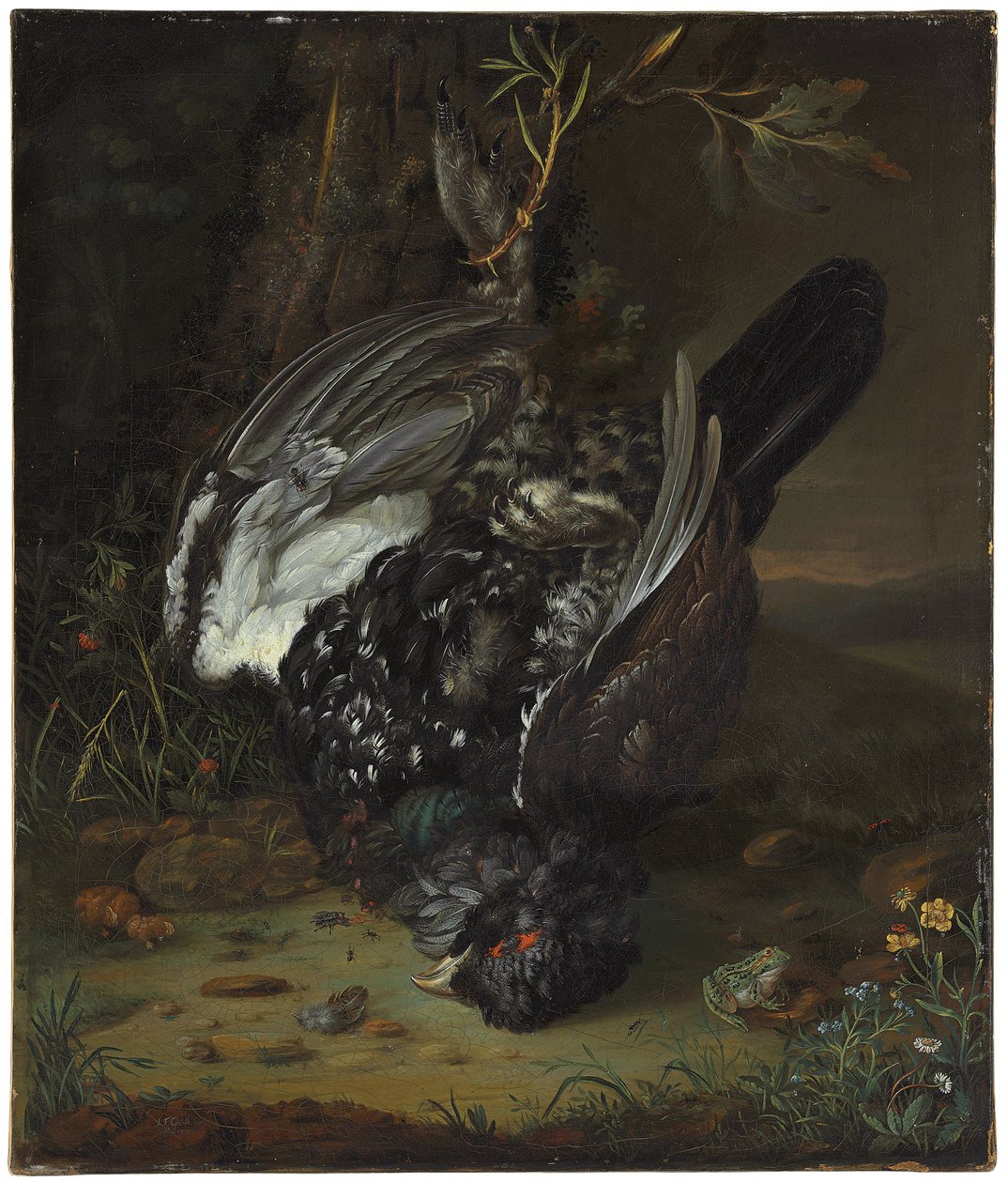 Ormanlık bir arazide bir blackcock, 1747 by Johann Friedrich von Grooth
