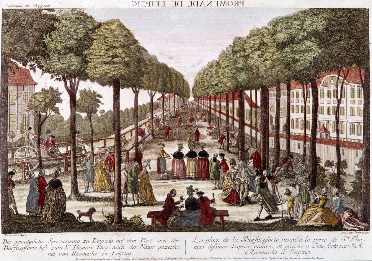 18. yüzyılın sonunda Leipzig gezinti yolu. Rosmesler & Bergmuller tarafından gravür. by Johann Georg Bergmuller