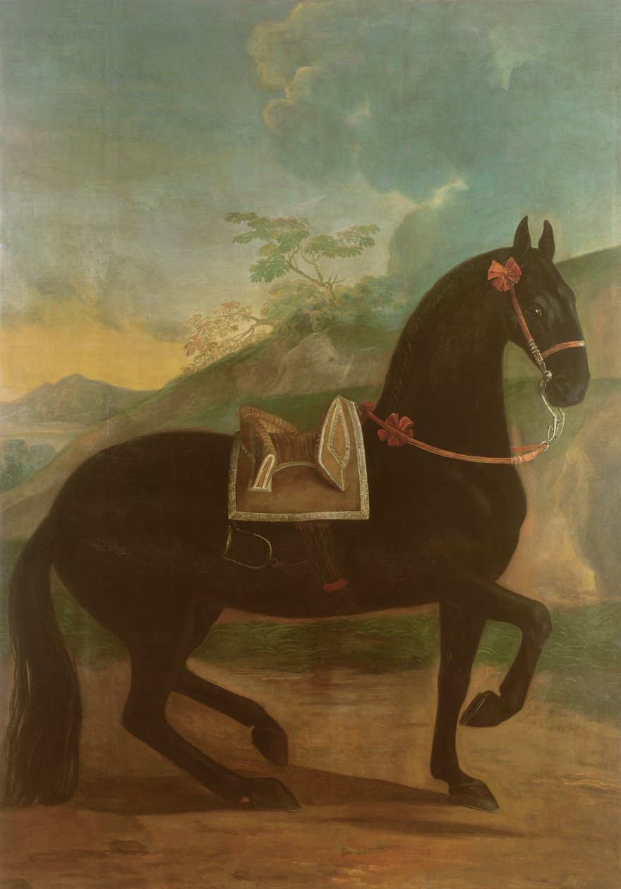 İspanyol eyeri takan bir siyah at by Johann Georg Hamilton