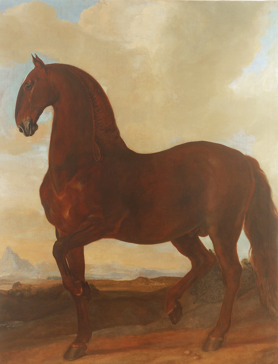 Eisgruber Stud