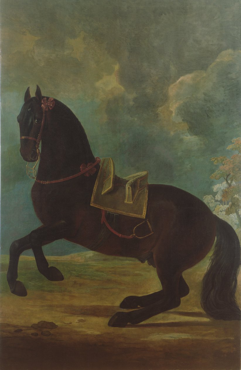 İspanyol eyerli Bay Aygırı by Johann Georg Hamilton