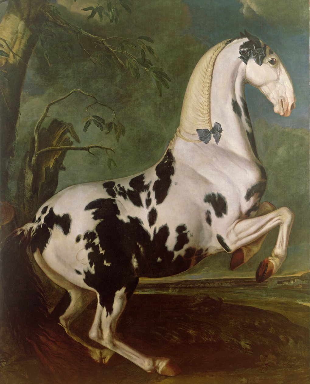 Eisgruber Stud