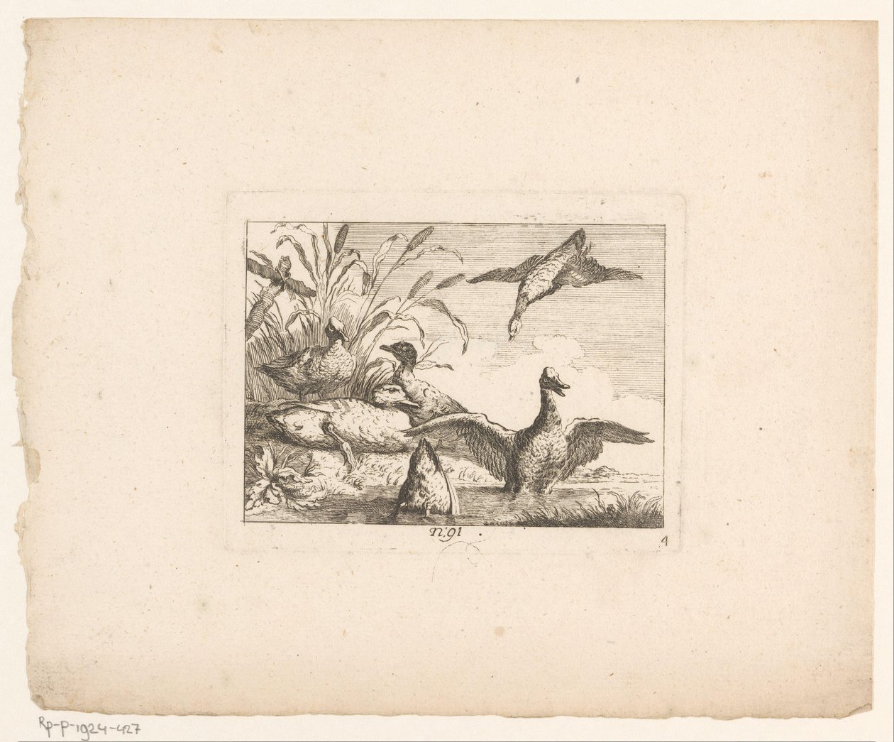 Altı ördekli manzara Manzaradaki kuşlar (dizi başlığı) by Johann Georg Hertel (I) (possibly)