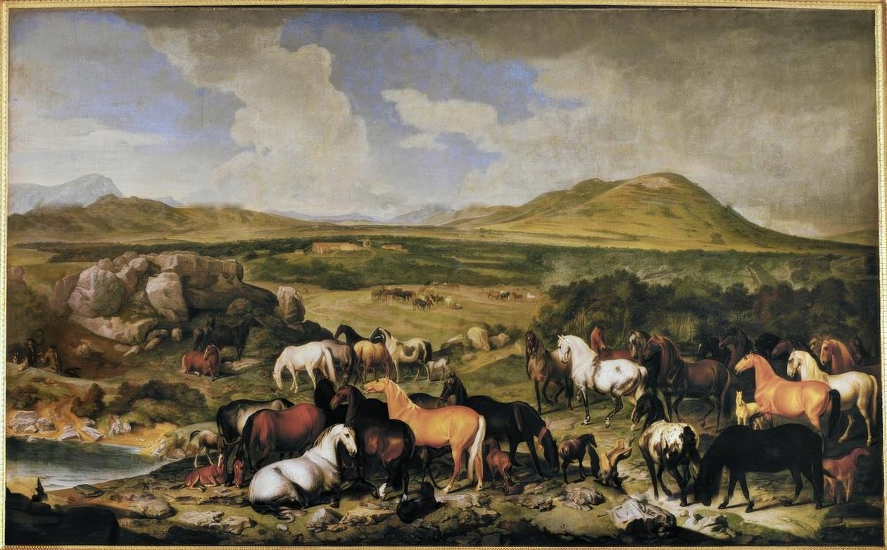 Johann Georg de Hamilton / Lippizaner by Johann Georg de Hamilton