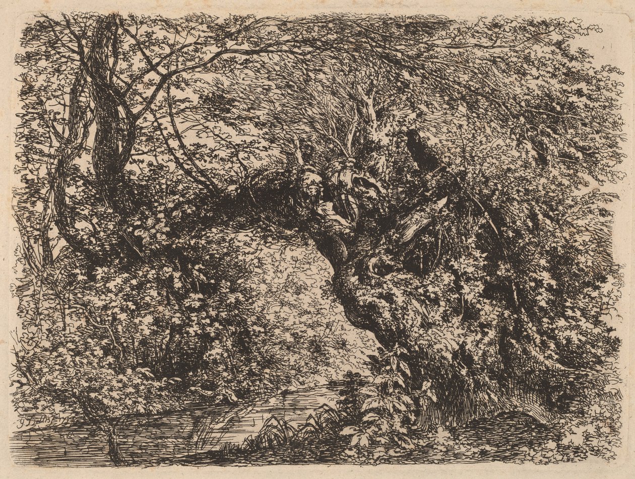 Bir Derenin Yanında Yaşlı Bir Söğüt by Johann Georg von Dillis