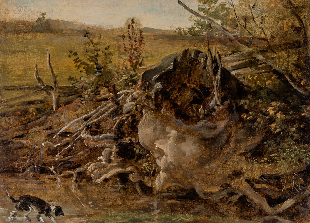 Çürüyen ağaç kütüğü ve tazı by Johann Georg von Dillis