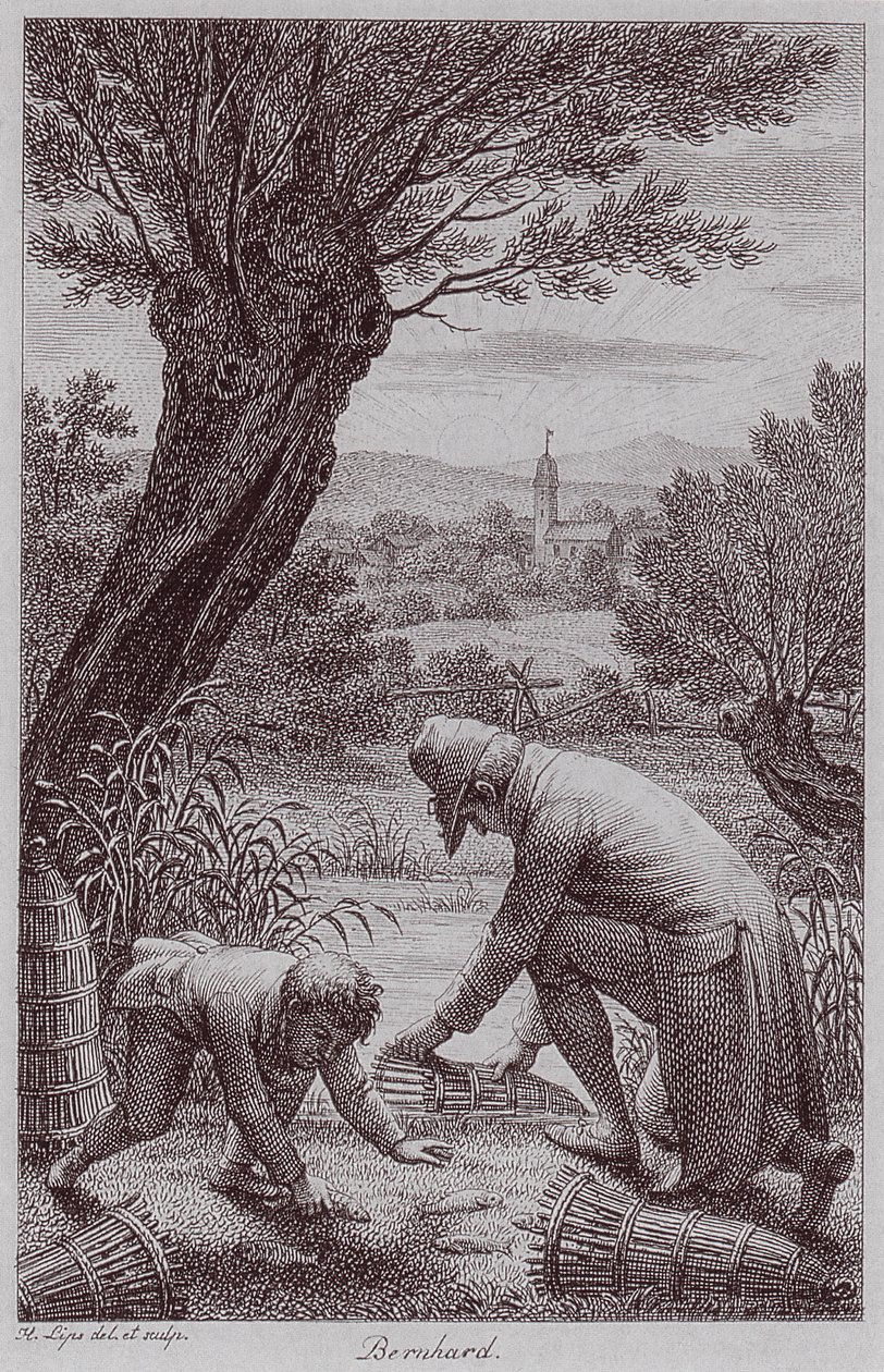  by Johann Heinrich Lips