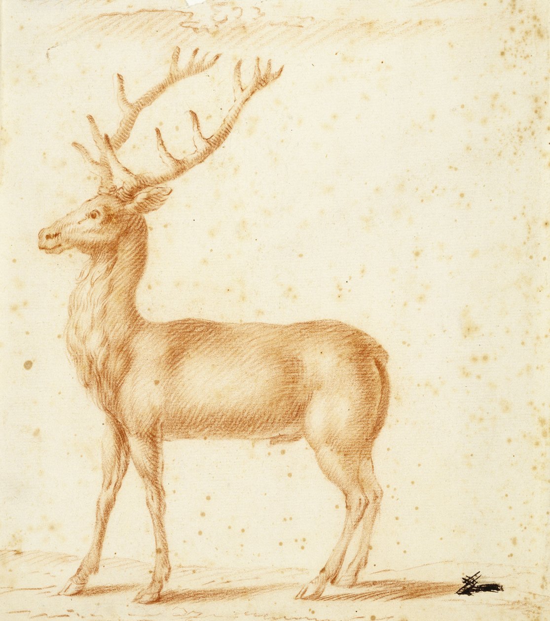 Bir Geyik, 17. yüzyıl (kağıt üzerinde kırmızı tebeşir) by Johann Heinrich Roos