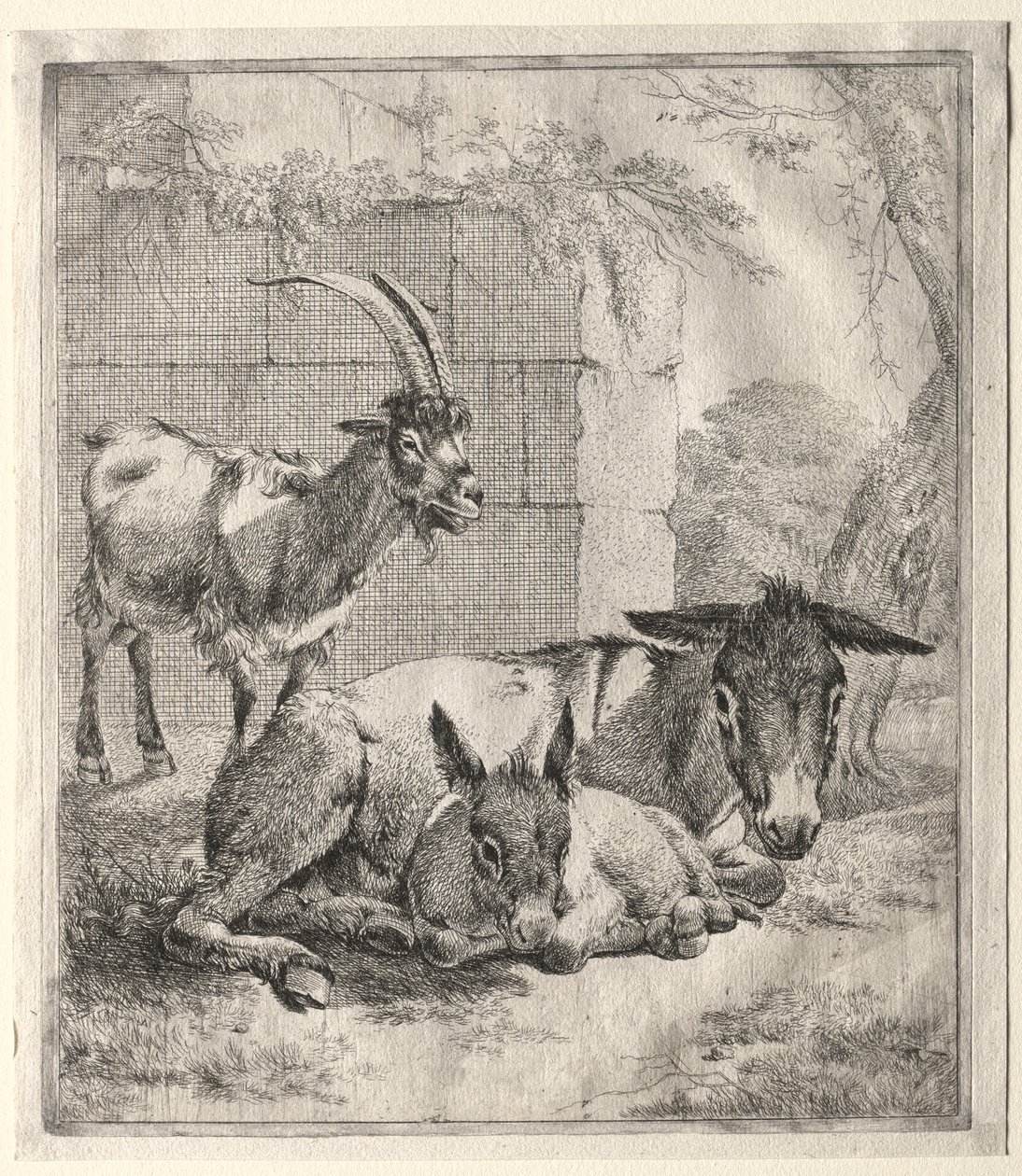 Keçi ve Eşekler by Johann Heinrich Roos