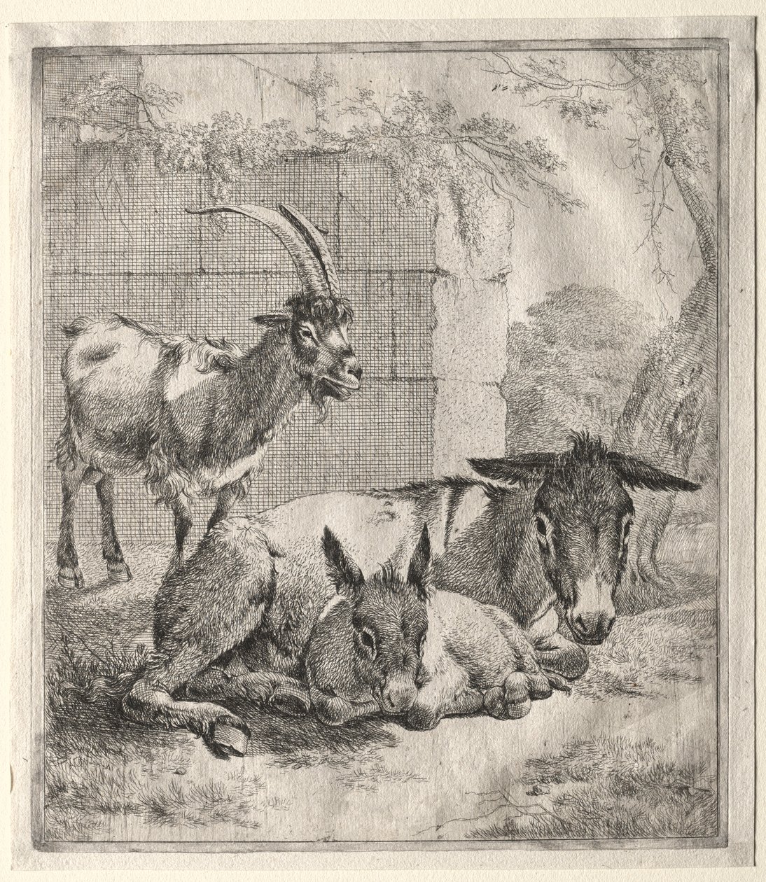 Keçi ve Eşekler. by Johann Heinrich Roos