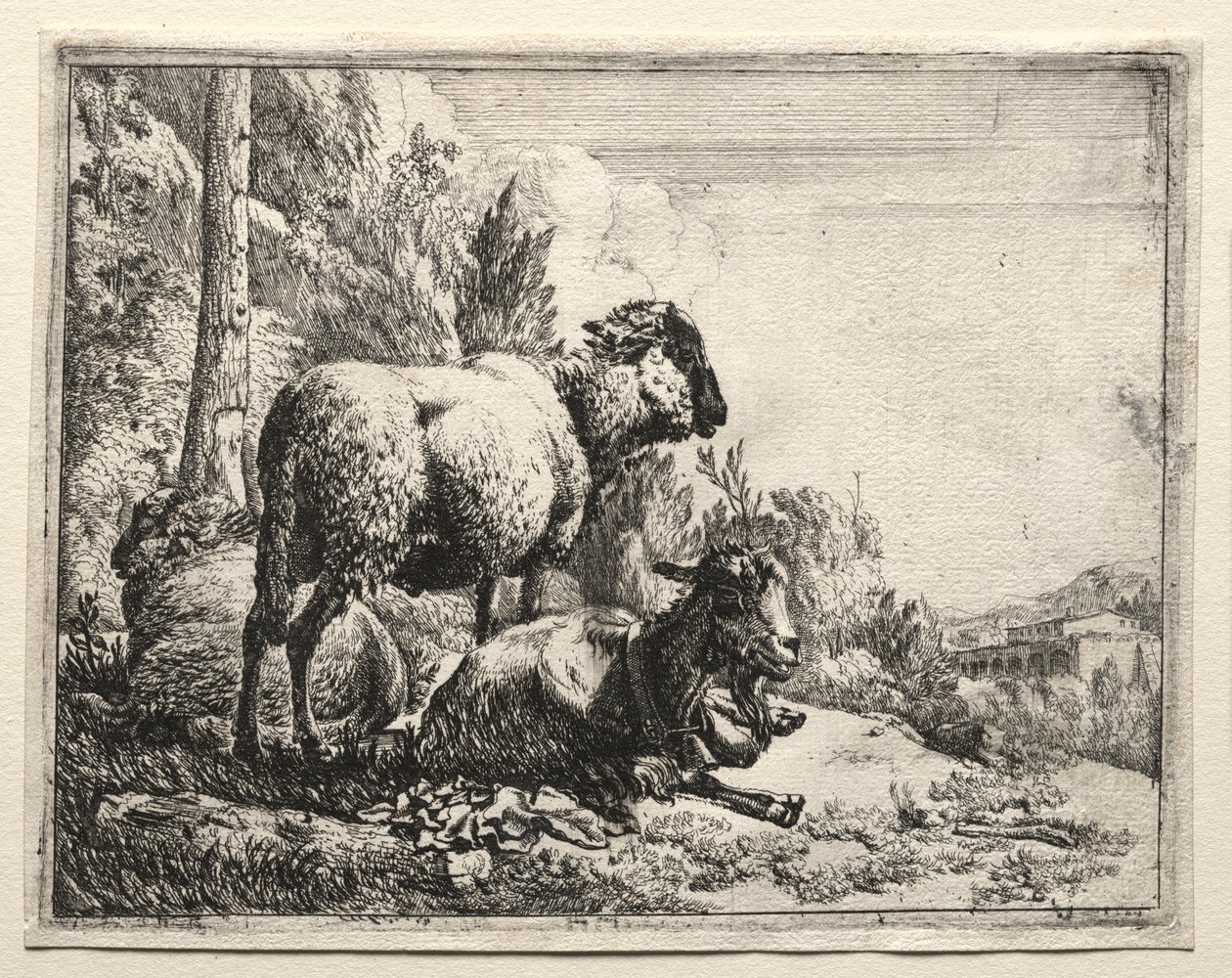 Çanlı Keçi, 1665. by Johann Heinrich Roos