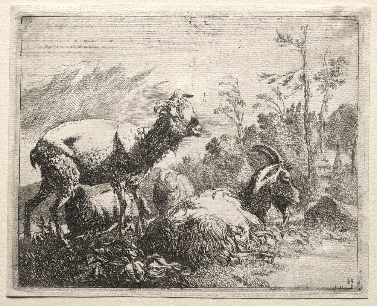 keçiler by Johann Heinrich Roos