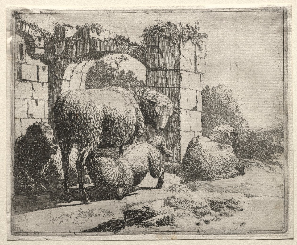 Kemer Harabelerinin Yakınındaki Koyunlar, 1665. by Johann Heinrich Roos