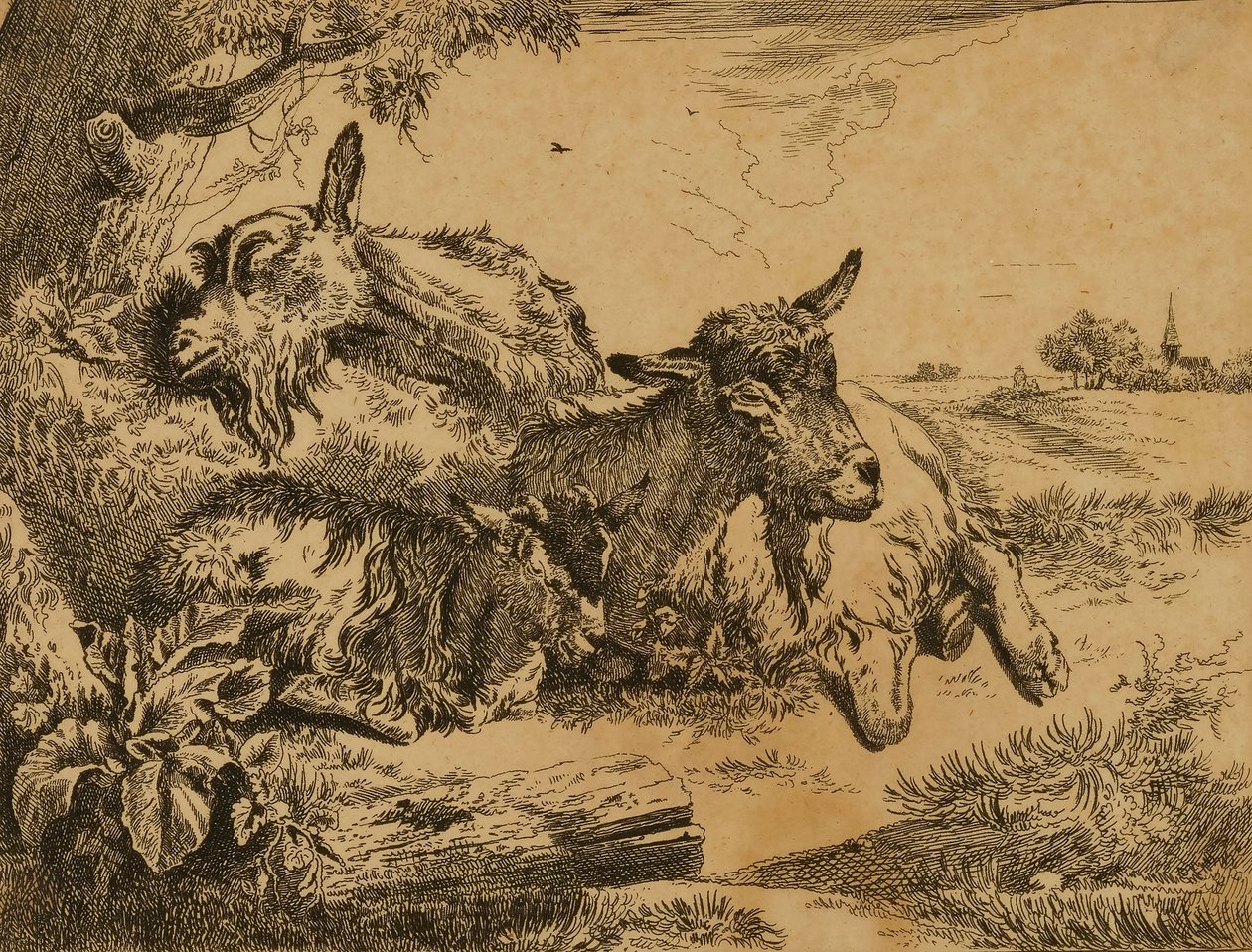  by Johann Heinrich Roos