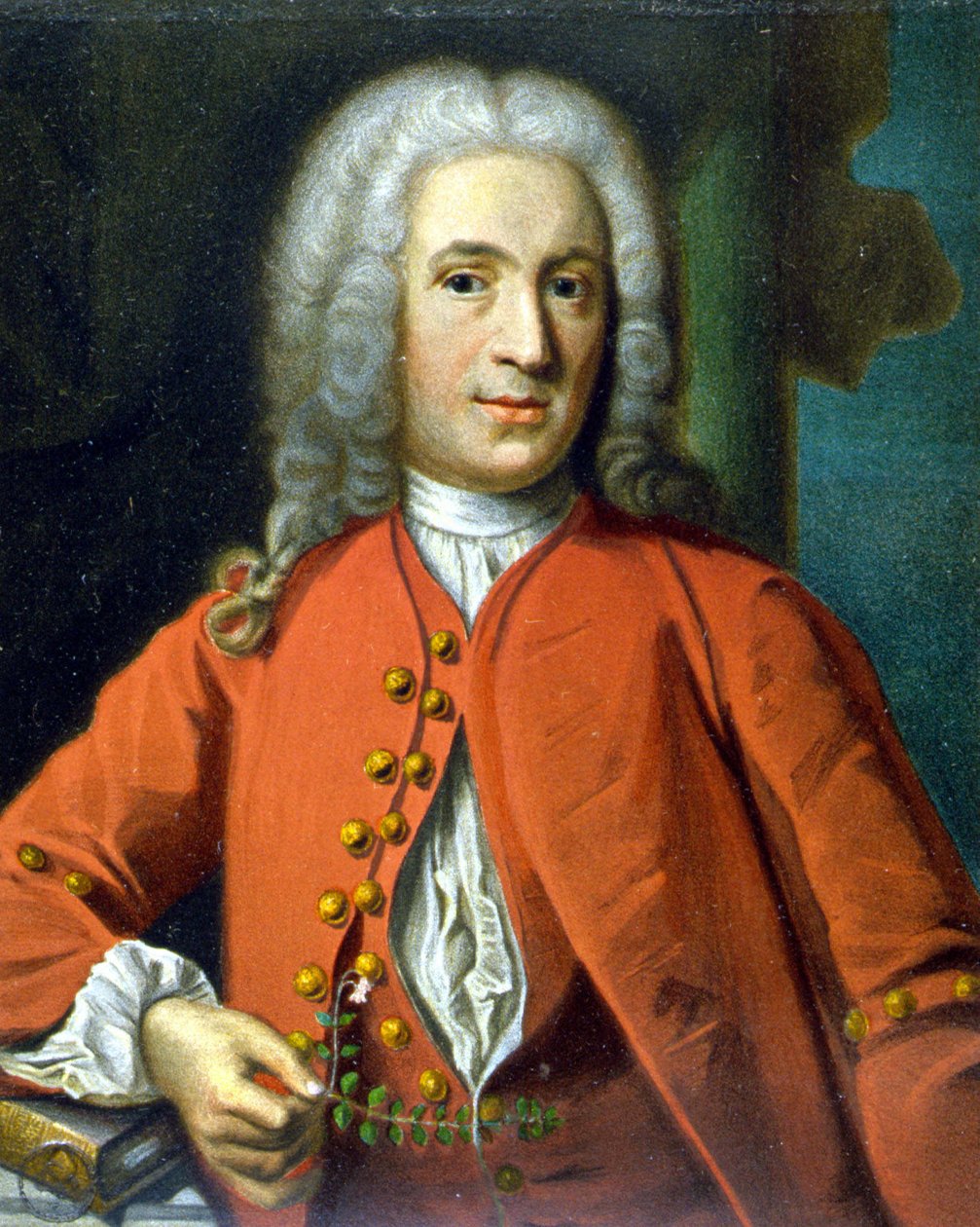 Carl Von Linné İsveçli doğa bilimci ve yazar (1707 - 1778) - J. H. Scheffel tarafından, Tycho Tullberg tarafından ““Portre of Linné””de by Johann Henrik Scheffel