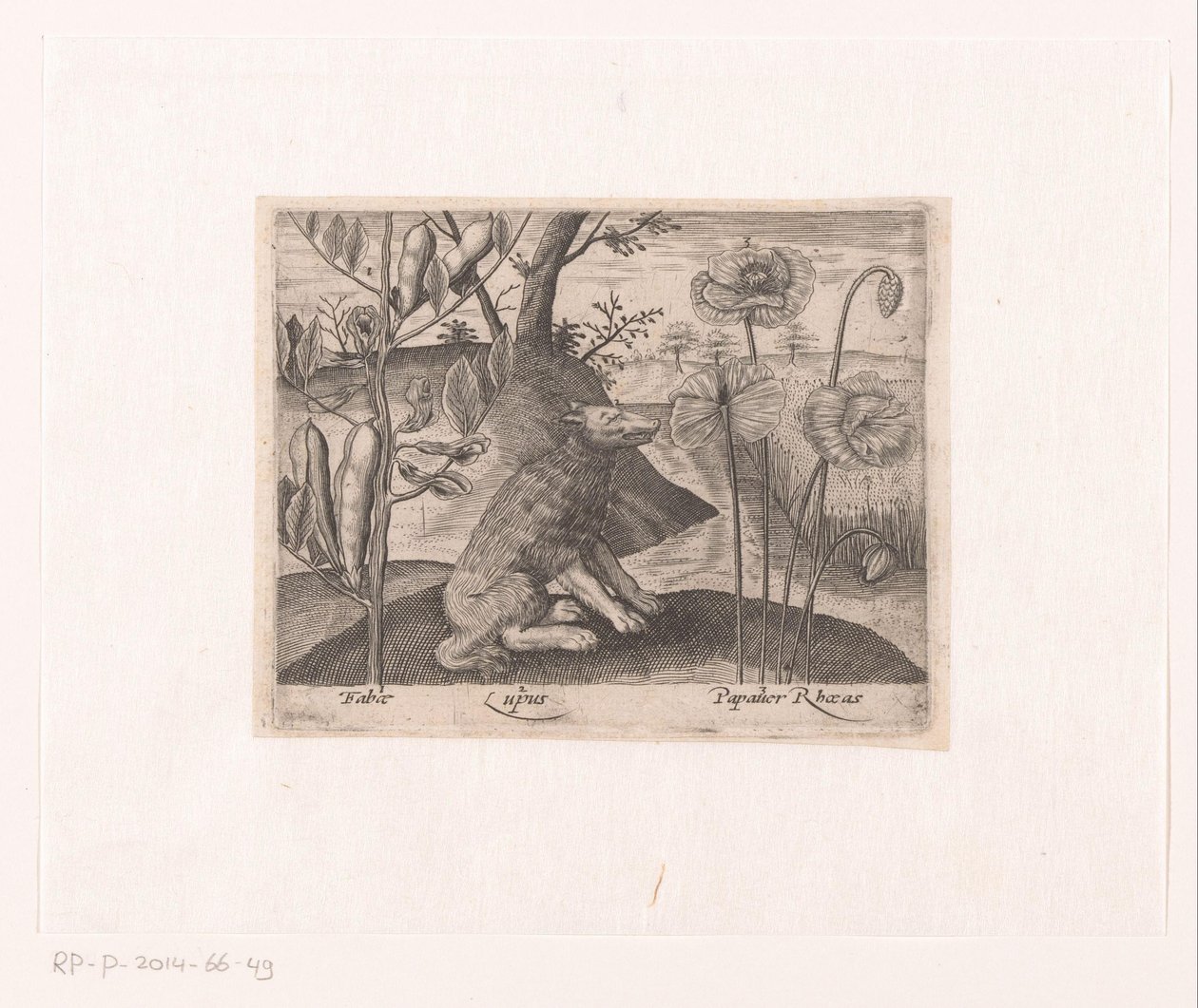 Bir Manzarada Çiçekler ve Hayvanlar ile Baskı Serisi Kurt ve bitkiler ile manzara Hayvanlar, bitkiler ve çiçeklerle dolu manzaralar (dizi başlığı) by Johann Hogenberg