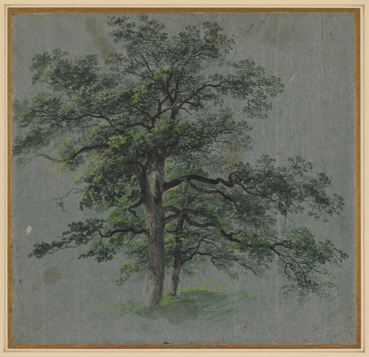 Two Trees recto Tree Studies ile 1800