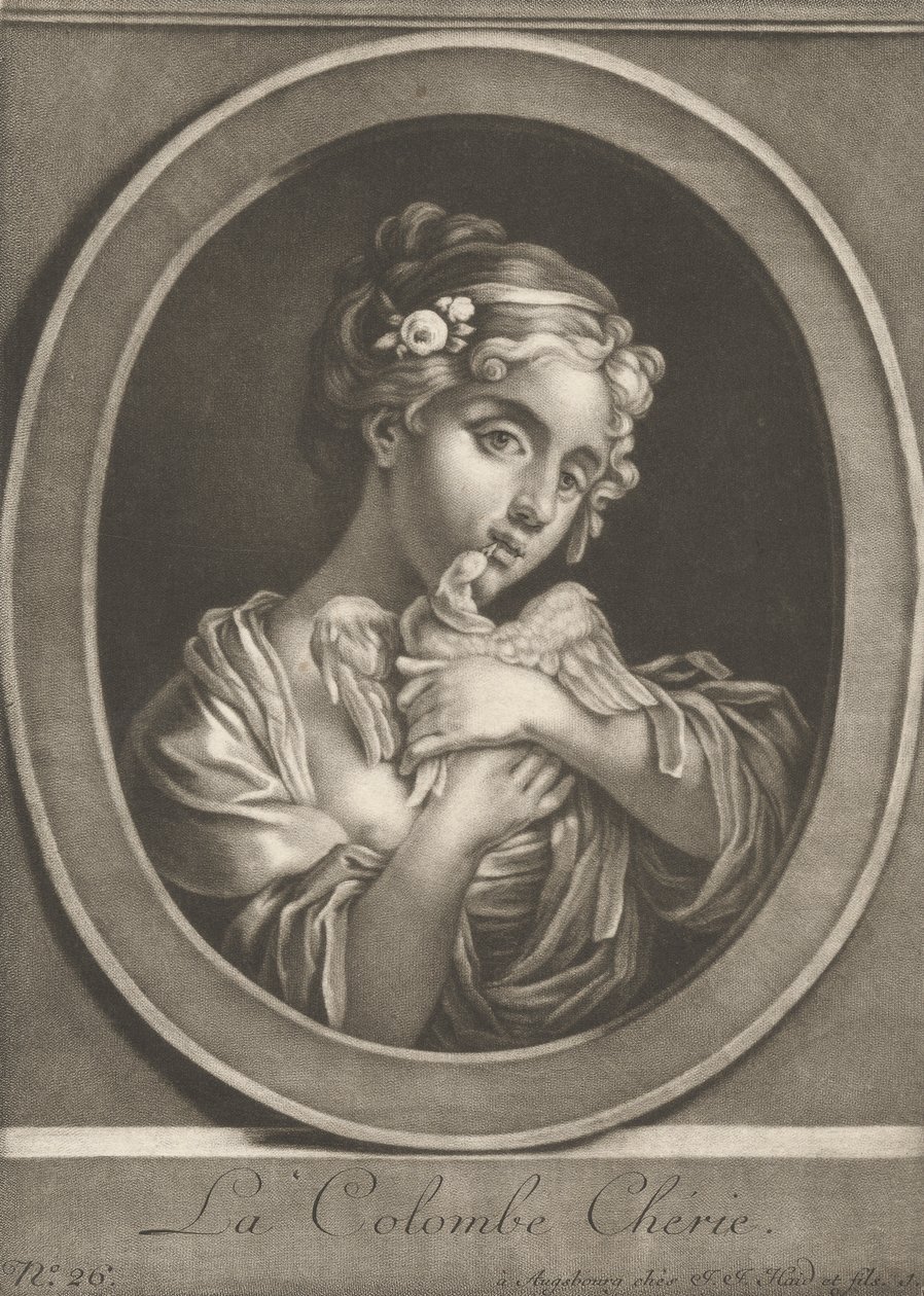 sevgili güvercin by Johann Jacobus Haid