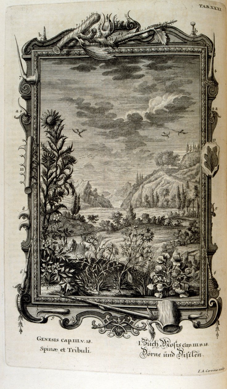 İsviçreli bilgin tarafından 'Physica Sacra'dan bakır levha gravürü. Johann Jakob Scheuchzer by Johann Jakob Scheuchzer