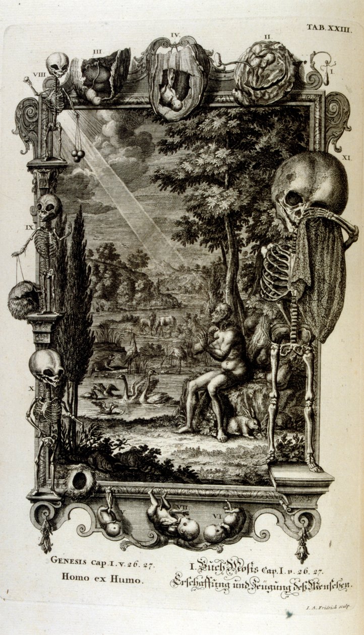 İsviçreli bilgin tarafından 'Physica Sacra'dan bakır levha gravürü. Johann Jakob Scheuchzer by Johann Jakob Scheuchzer