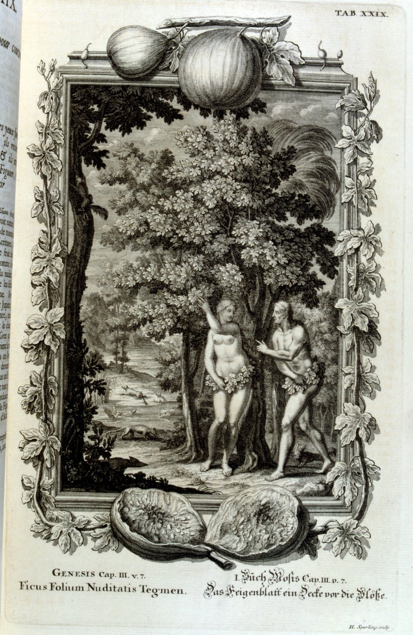 İsviçreli bilgin tarafından 'Physica Sacra'dan bakır levha gravürü. Johann Jakob Scheuchzer by Johann Jakob Scheuchzer