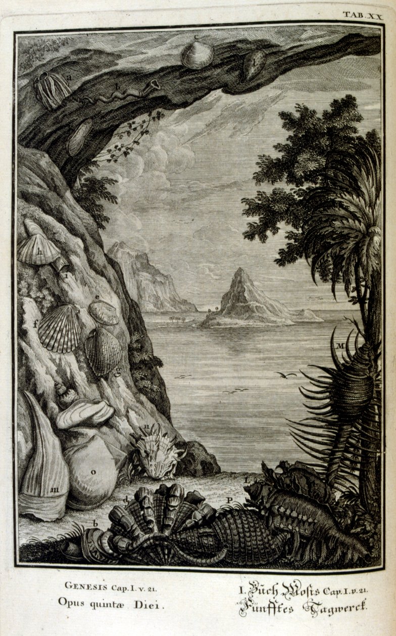 İsviçreli bilgin tarafından 'Physica Sacra'dan bakır levha gravürü. Johann Jakob Scheuchzer by Johann Jakob Scheuchzer