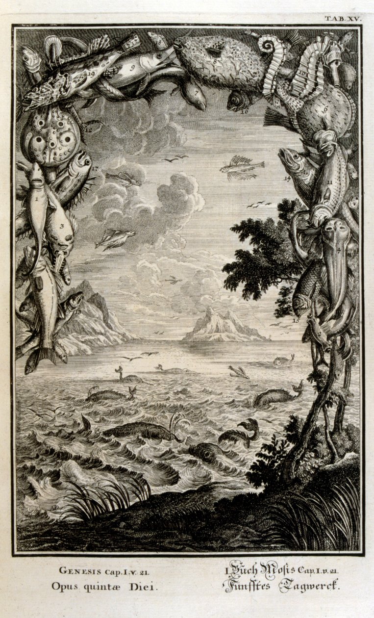 İsviçreli bilgin tarafından 'Physica Sacra'dan bakır levha gravürü. Johann Jakob Scheuchzer by Johann Jakob Scheuchzer