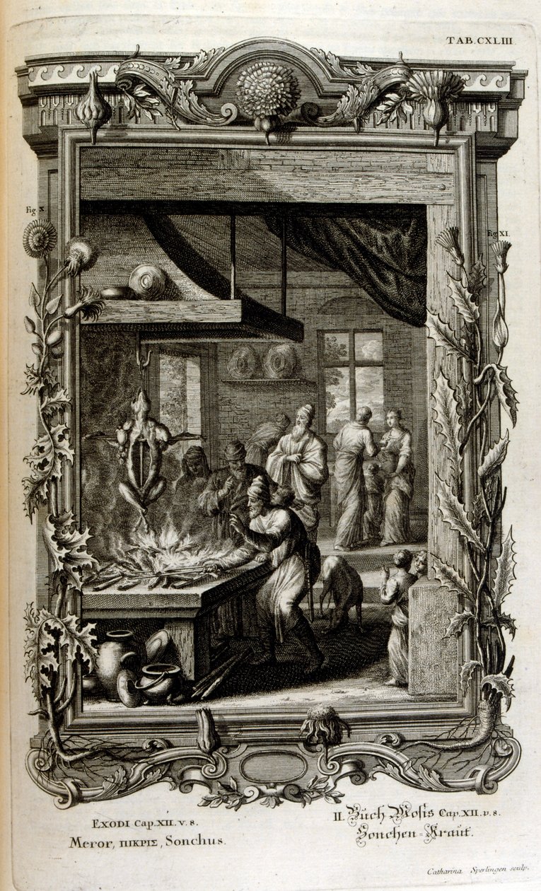 Kutsal Fizikten veya İncil'in Doğal Tarihinden Örnekleme by Johann Jakob Scheuchzer