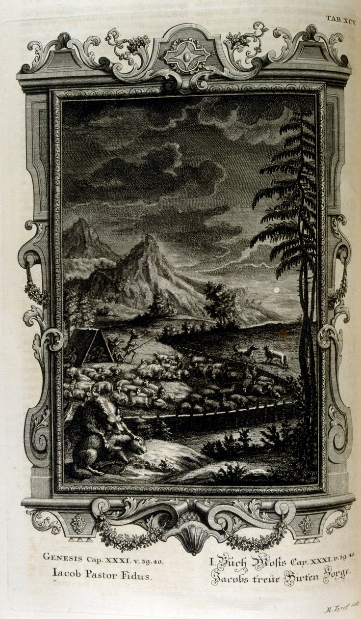 Jacobs alanları by Johann Jakob Scheuchzer