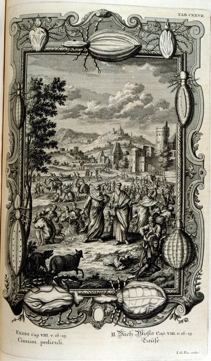 Bit ve orta yaş vebası by Johann Jakob Scheuchzer