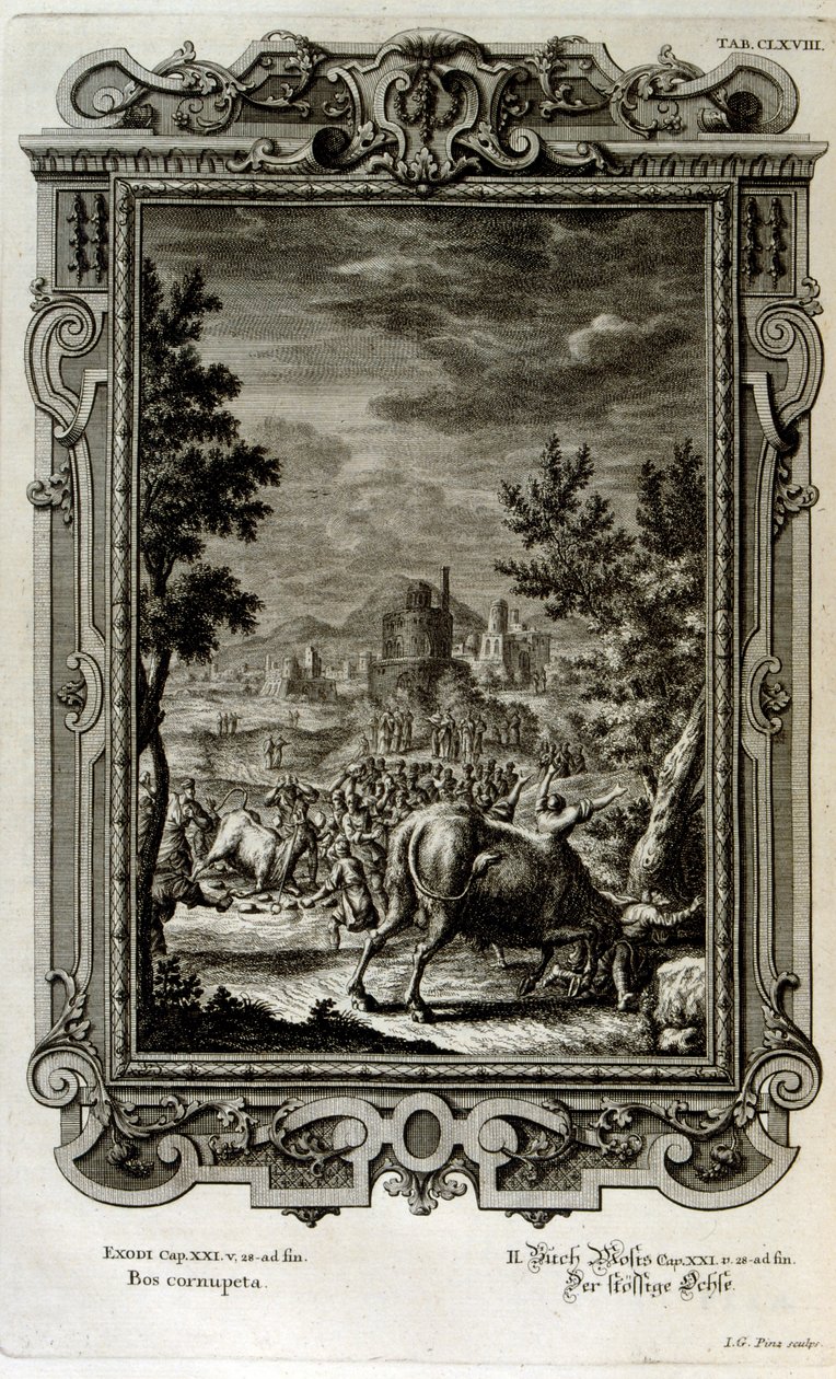 Vahşi boğaları kurban etmek by Johann Jakob Scheuchzer