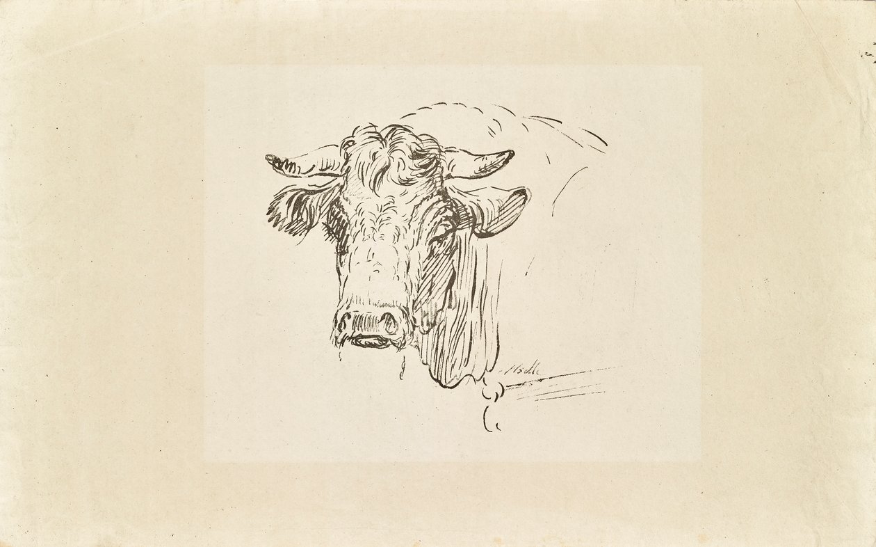 boğa başı by Johann Josef Schindler