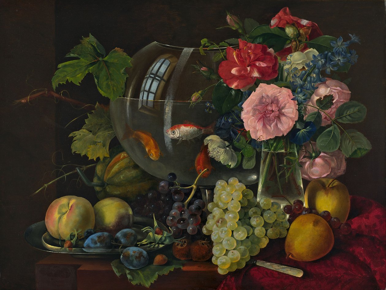  by Johann Knapp