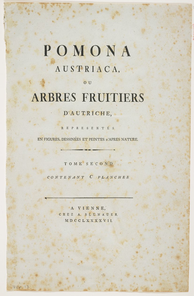 'Pomona Austriaca veya Avusturya Meyve Ağaçları'ndan Başlık Sayfası, 1787-96 (baskı) by Johann Kraft