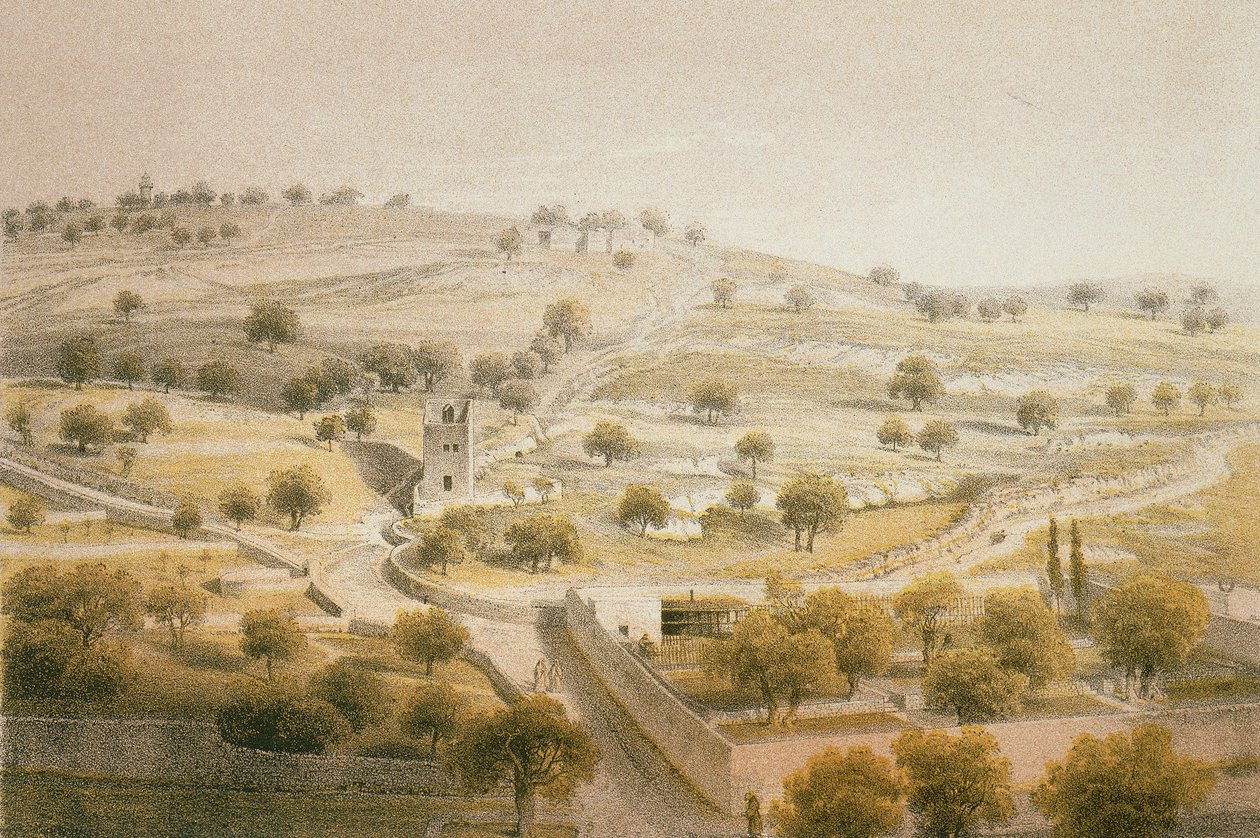 Getsemani, Zeytin Dağı. Bernatz ve diğerleri tarafından gravür - Steinkopk J.F. Editore by Johann Martin Bernatz