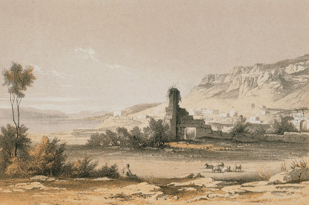 Magdala (Majdal Şems). Bernatz ve diğerleri tarafından gravür - Steinkopk J.F. Editore by Johann Martin Bernatz
