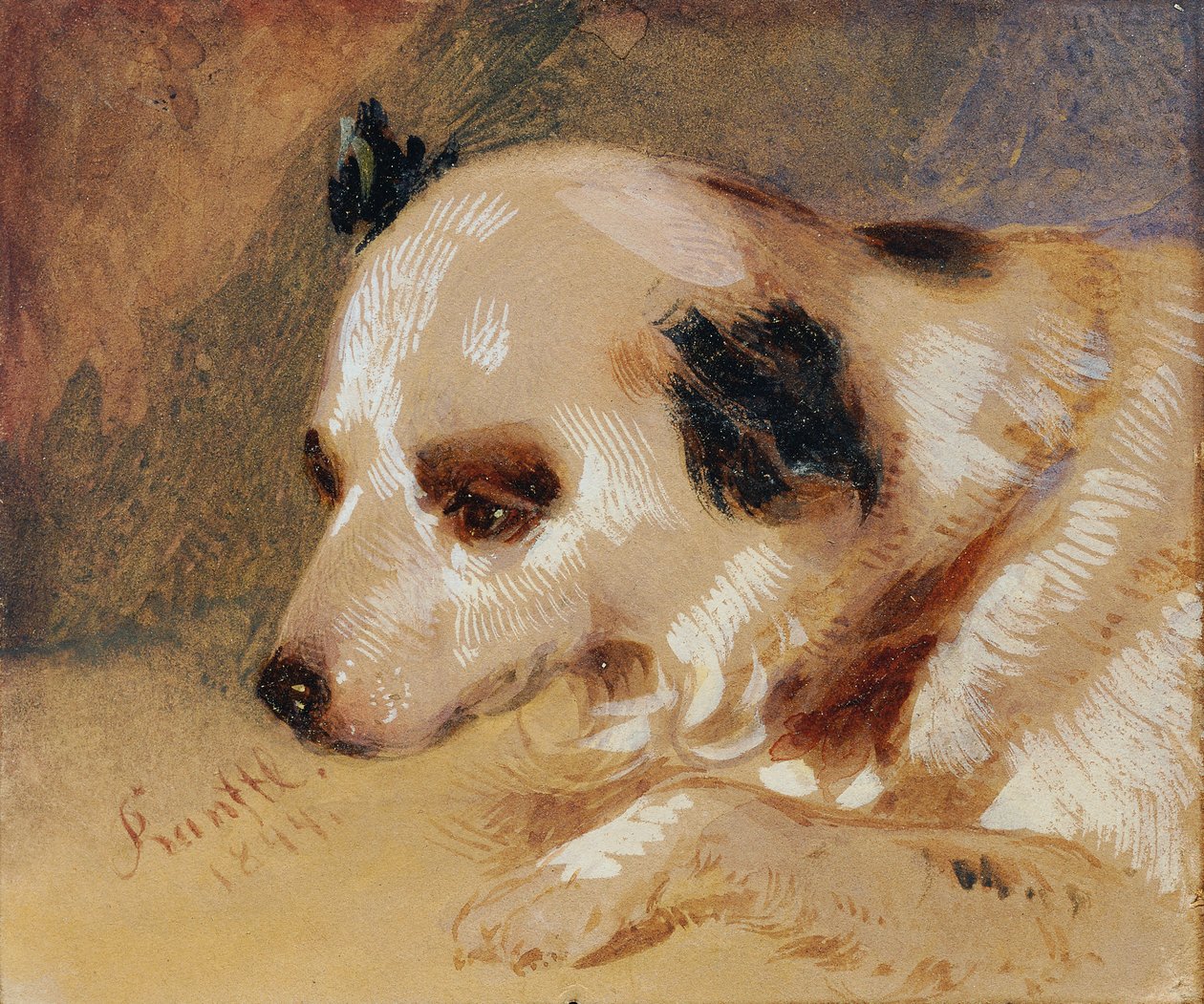 köpek kafası by Johann Matthias Ranftl