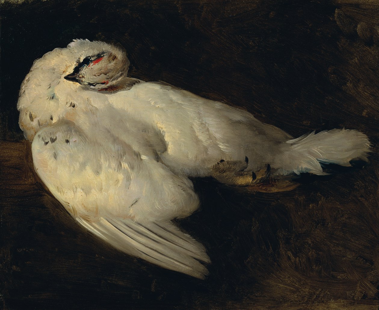 ölü ptarmigan by Johann Matthias Ranftl