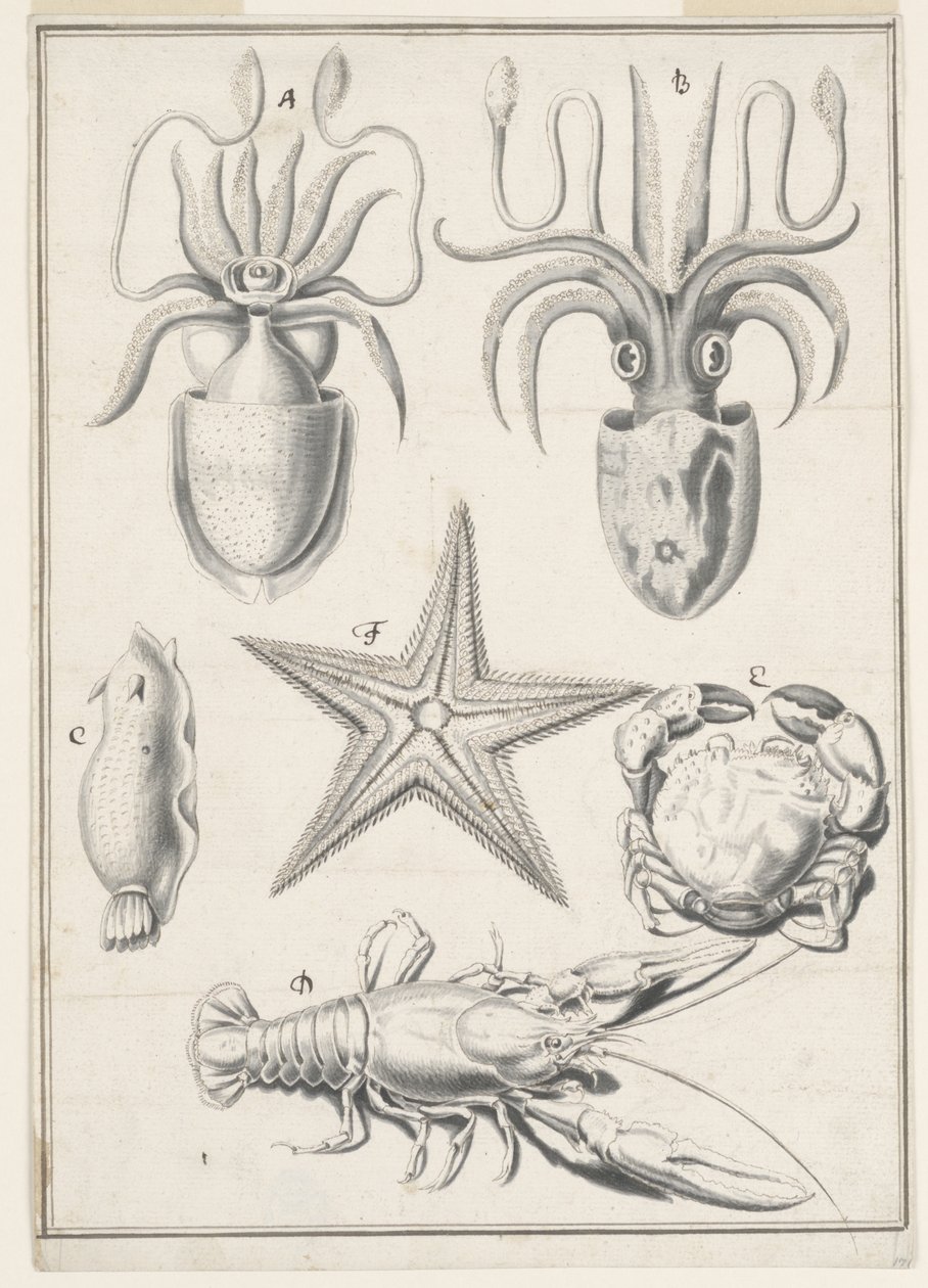 Beşinci Günün Çalışması by Johann Melchior Füssli
