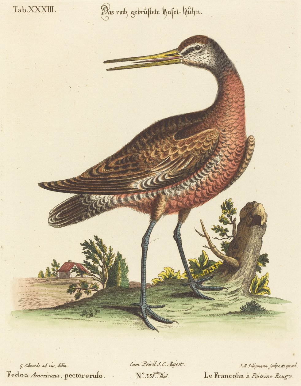 Fedoa Americana, göğüs kabartması by Johann Michael Seligmann after George Edwards