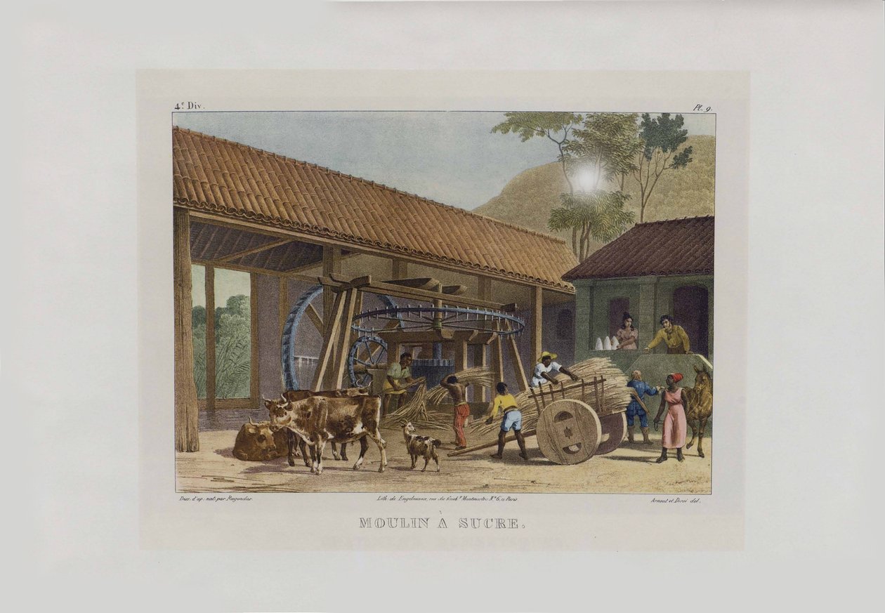 Şeker fabrikası. Brezilya
