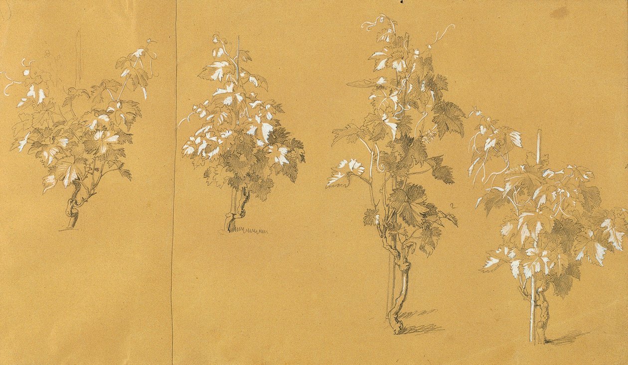 Weinstock, "Bağda Hermann ve Dorothea" Çalışması by Johann Peter Krafft